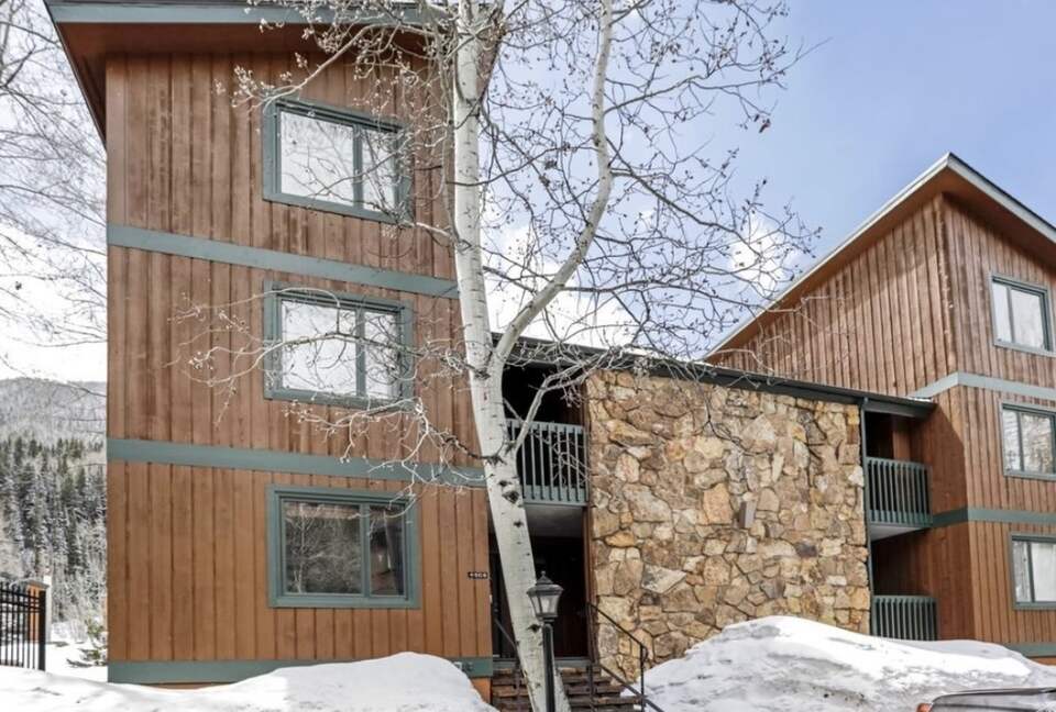 Timber Fox - Vail, Colorado