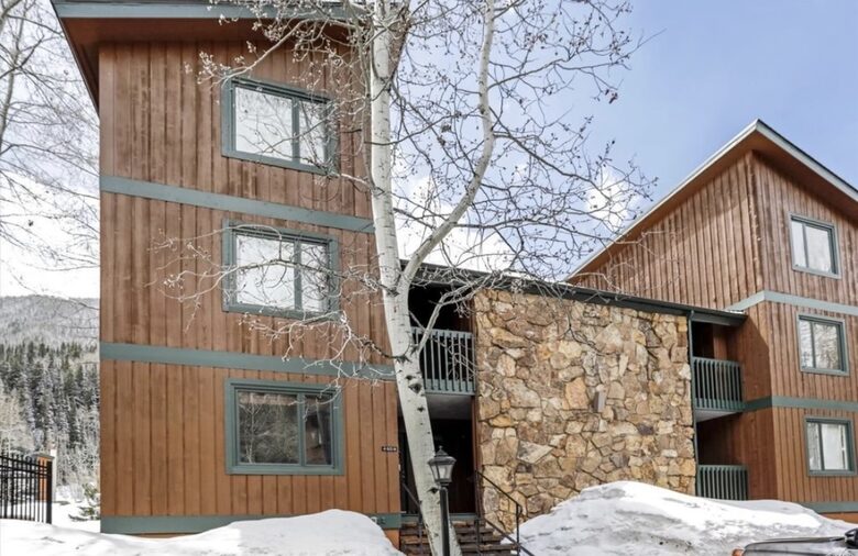 Timber Fox - Vail, Colorado