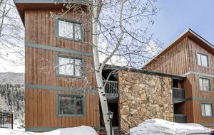 Timber Fox - Vail, Colorado