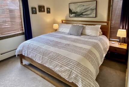 Timber Fox - Vail, Colorado