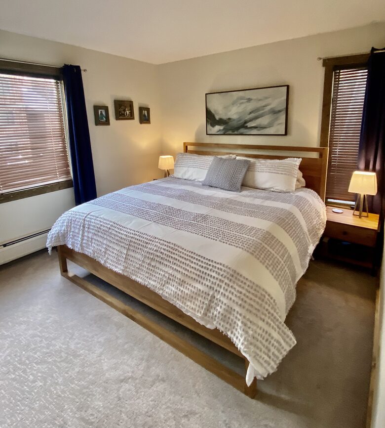 Timber Fox - Vail, Colorado