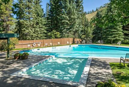 Timber Fox - Vail, Colorado