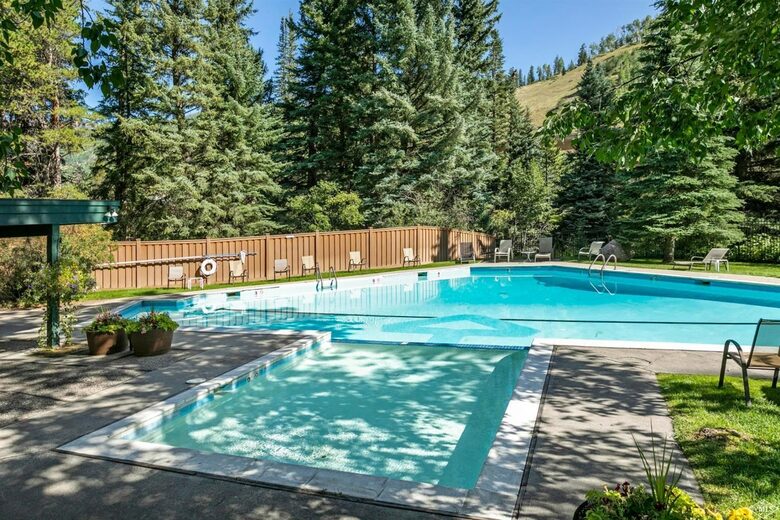 Timber Fox - Vail, Colorado