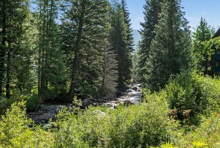 Timber Fox - Vail, Colorado