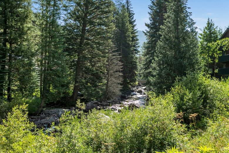 Timber Fox - Vail, Colorado