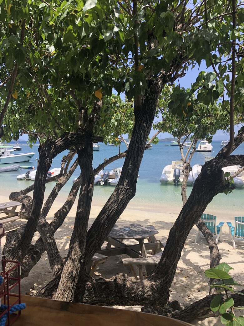 Home Exchange in St. John, USVI Bay “Cruz Bay Landing Bar”
