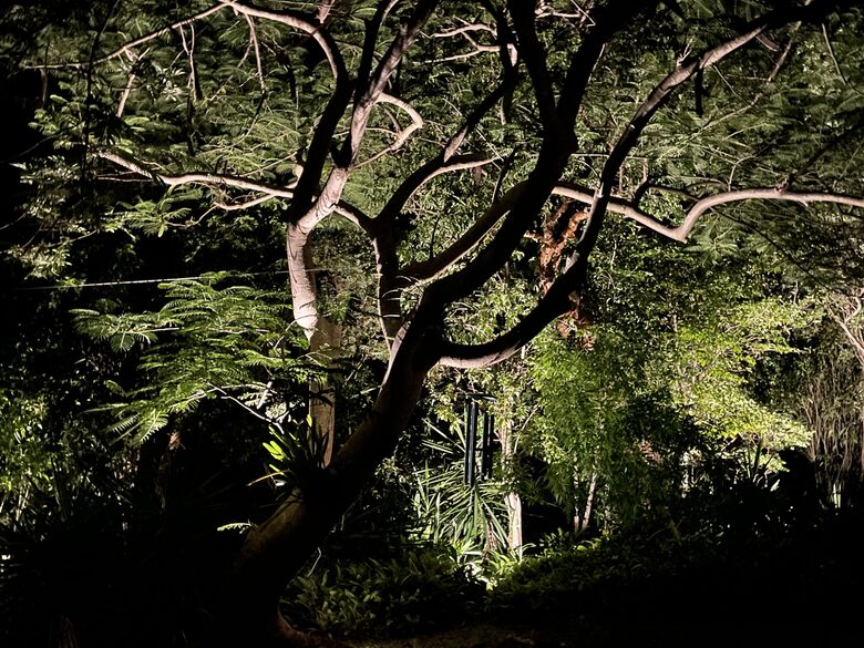 Home Exchange in St. John, USVI, great outdoor living