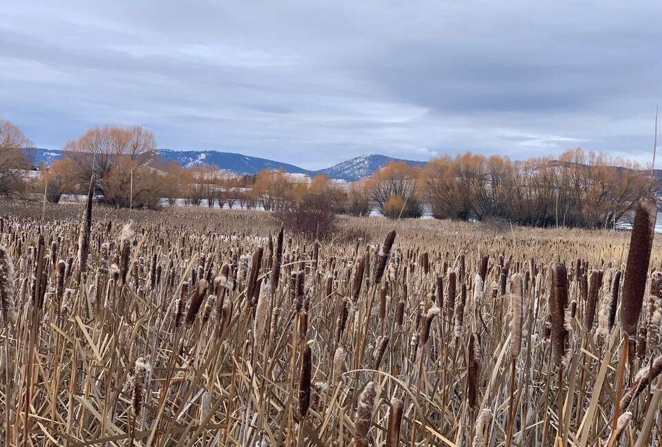 Home Exchange in Polson, Montana relaxing views of the mountains