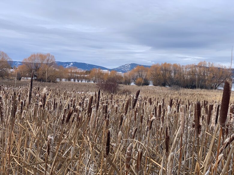 Home Exchange in Polson, Montana relaxing views of the mountains