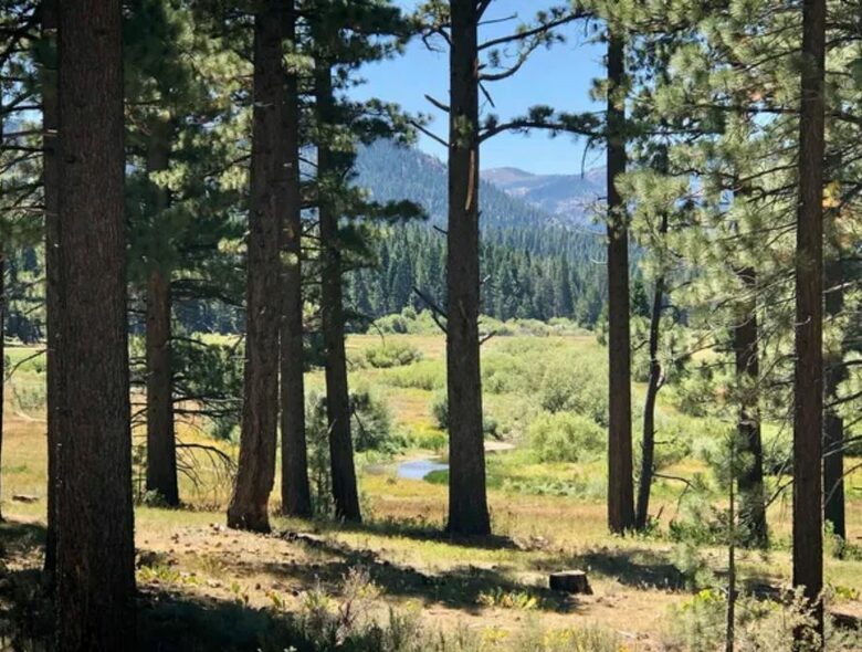 Home Exchange in South Lake Tahoe, CA, landscape not far