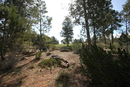 Retreat at Whispering Pines Luxe Cabin - Show Low, Arizona