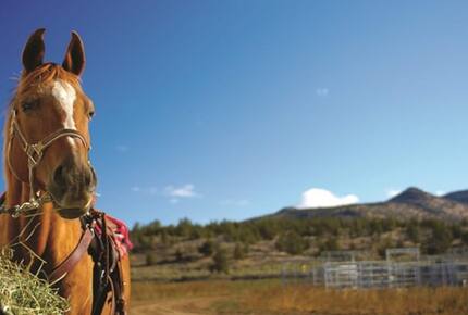 Modern Mountain Cabin at Brasada Ranch - Powell Butte, Oregon