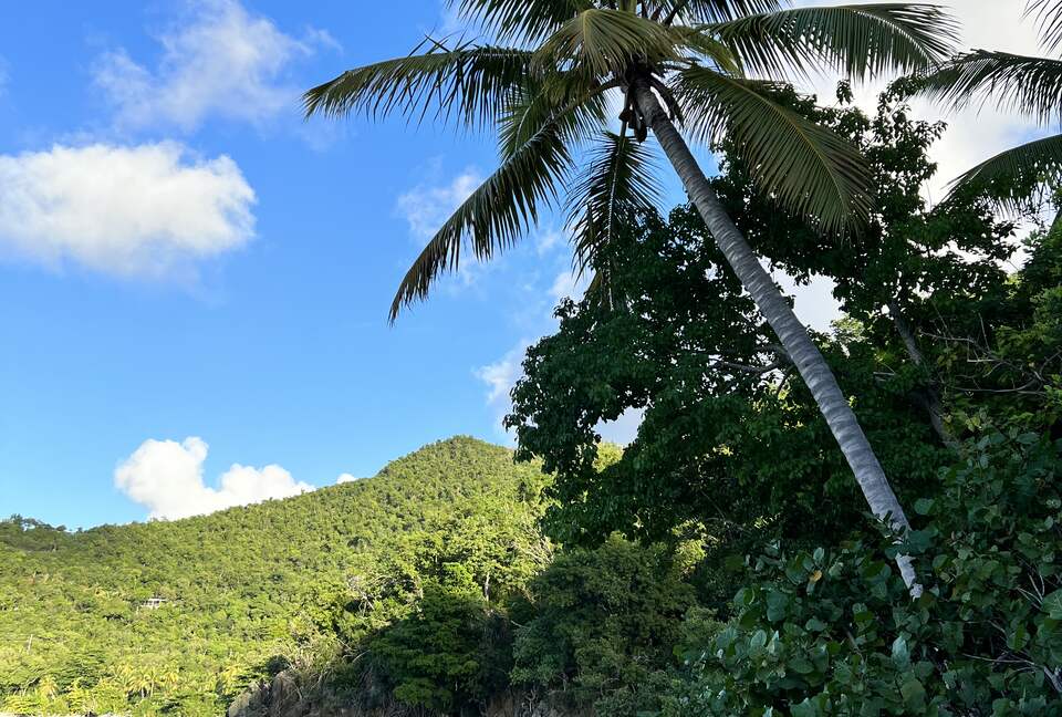 Home Exchange in St. John, USVI Hawksnest Beach