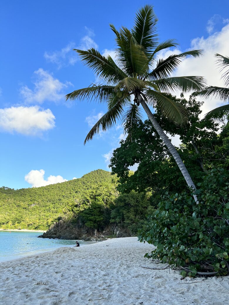 Home Exchange in St. John, USVI Hawksnest Beach