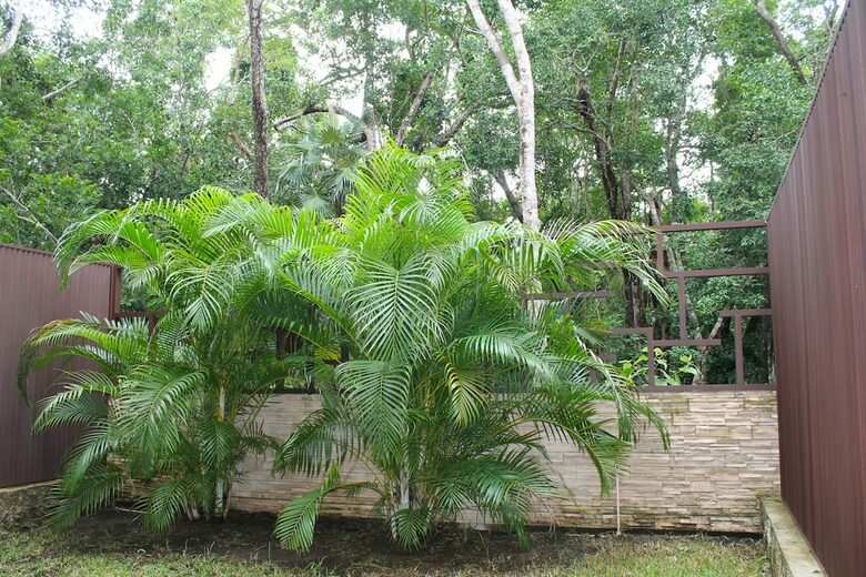 Amaya Tulum Ultra-Modern Luxury Residence - Tulúm, Mexico