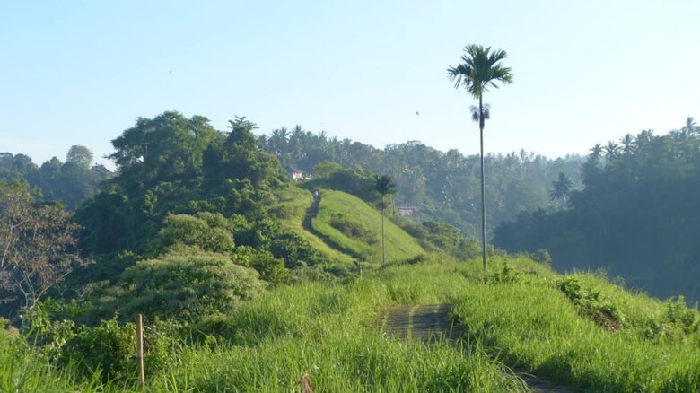 Villa Pangkung Indah - Ubud, Indonesia