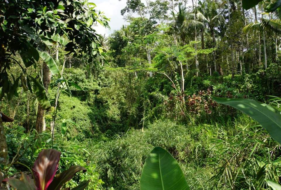 Villa Pangkung Indah - Ubud, Indonesia