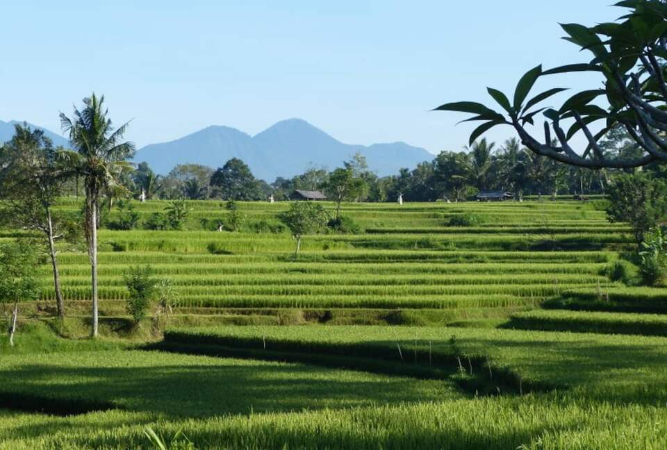 Villa Pangkung Indah - Ubud, Indonesia