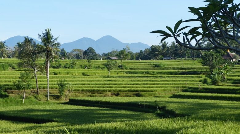 Villa Pangkung Indah - Ubud, Indonesia