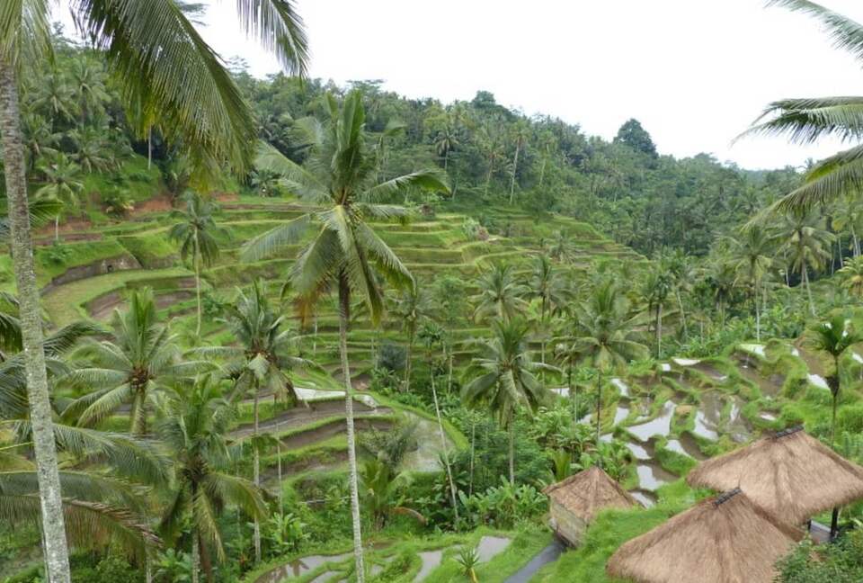 Villa Pangkung Indah - Ubud, Indonesia