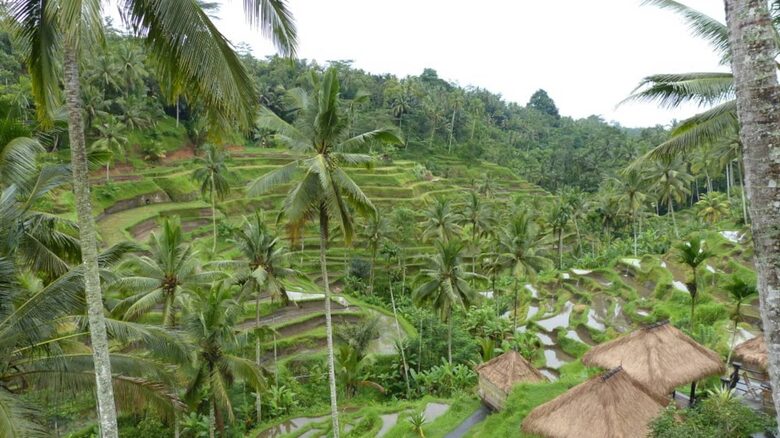 Villa Pangkung Indah - Ubud, Indonesia