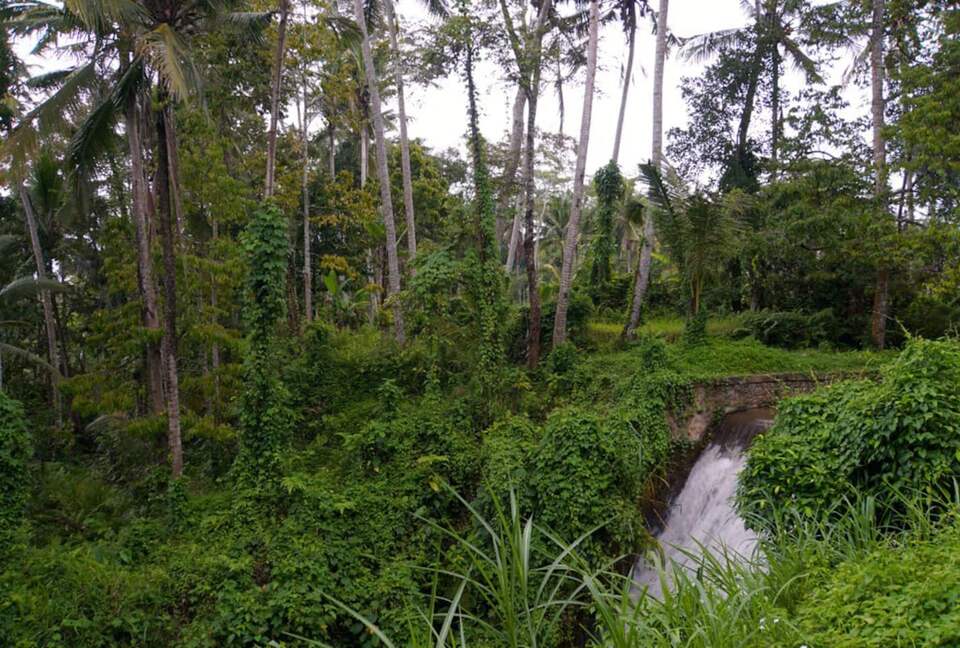 Villa Pangkung Indah - Ubud, Indonesia