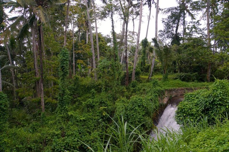 Villa Pangkung Indah - Ubud, Indonesia
