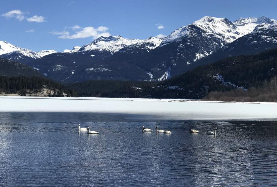 Green Lake - 5 minute walk