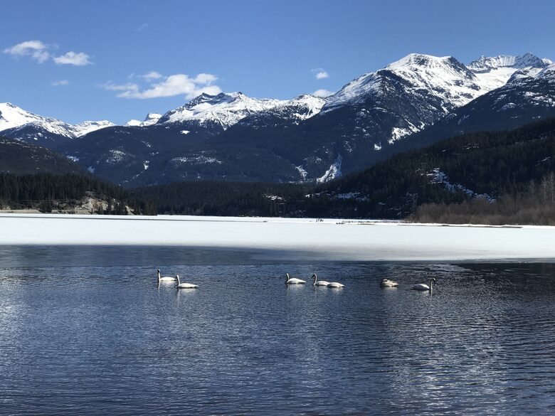 Green Lake - 5 minute walk