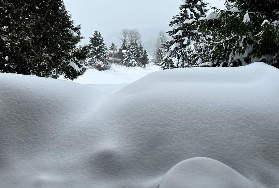 Winter - snow galore on back deck