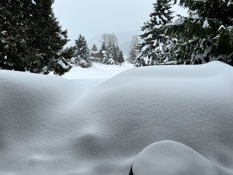 Winter - snow galore on back deck