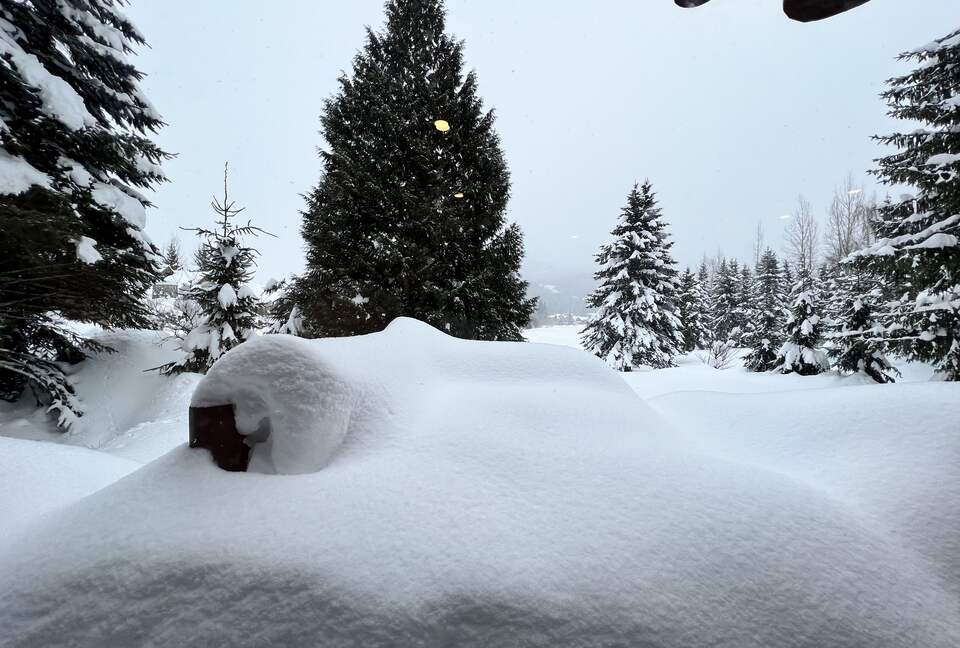 Winter - snow galore on back dek