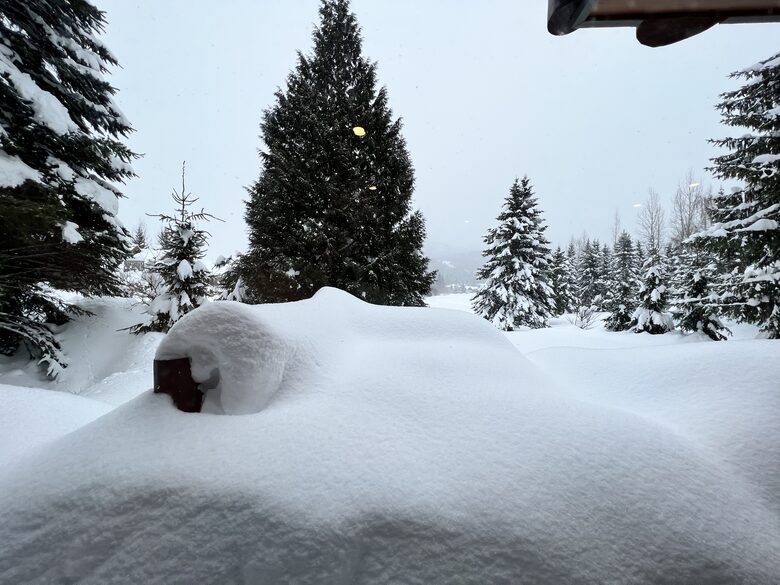 Winter - snow galore on back dek