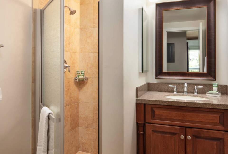 Third bathroom with walk in shower