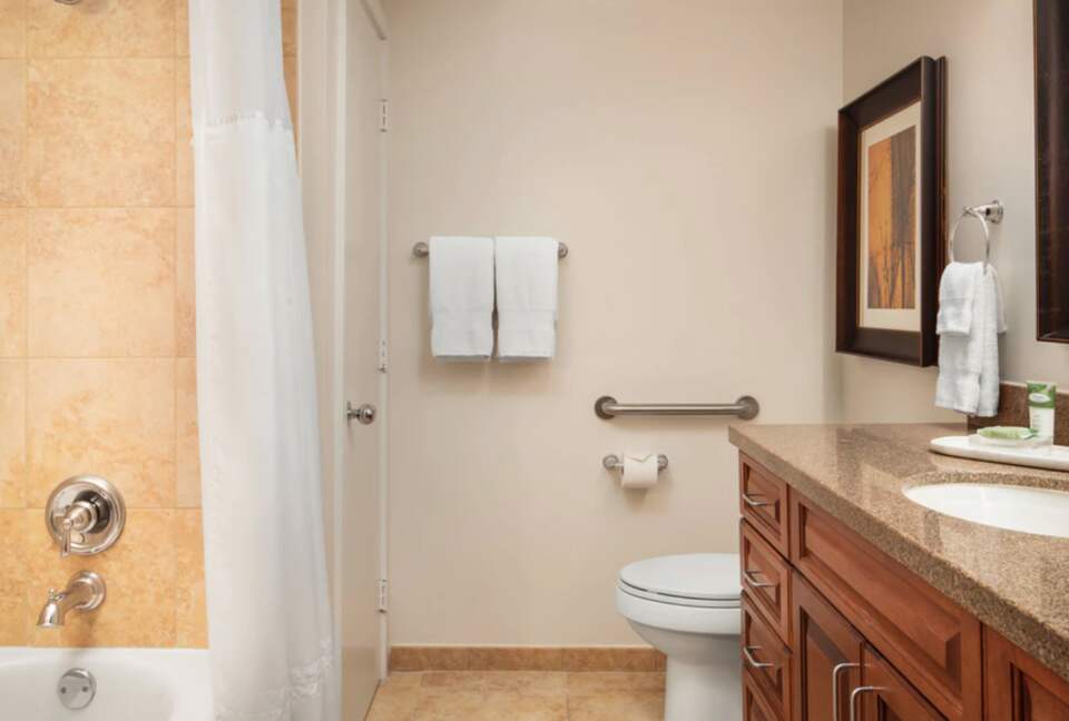 Master bathroom with tub