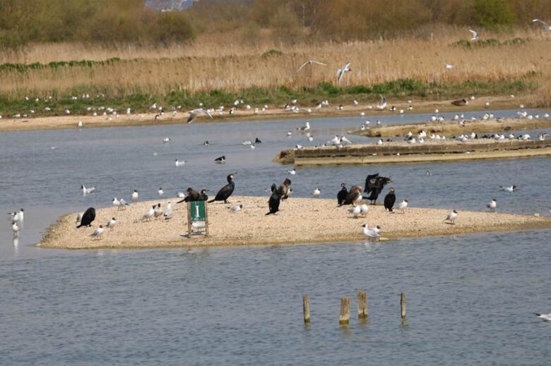 National nature reserve The Haven - a 10-15 min stroll away