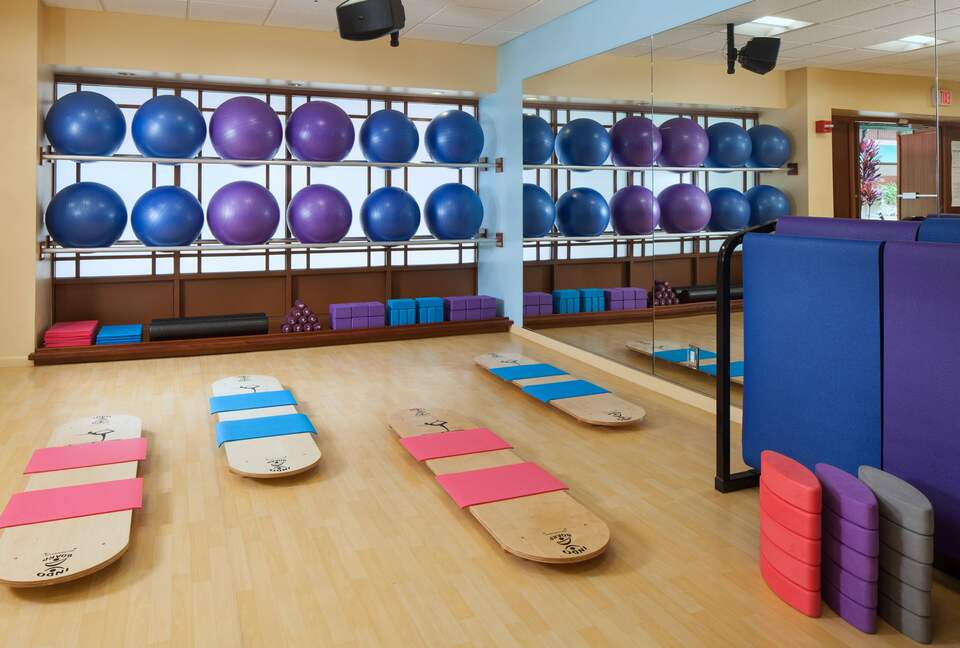 Home Exchange in Maui, HI, fitness room