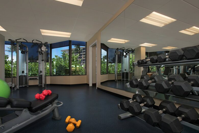 Home Exchange in Maui, HI, gym with weights and machines