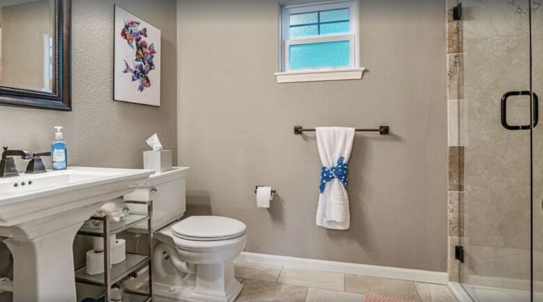 Guest bath with walk-in shower