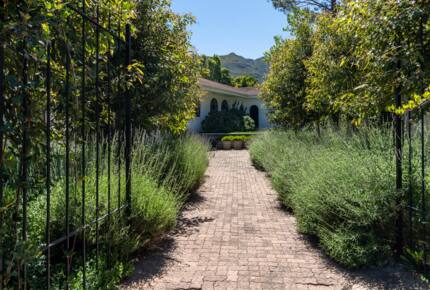 Stunning Pablo House - Cape Town, South Africa