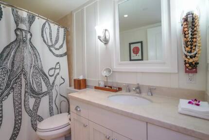 Home Exchange in Kahuku, HI, guest bathroom
