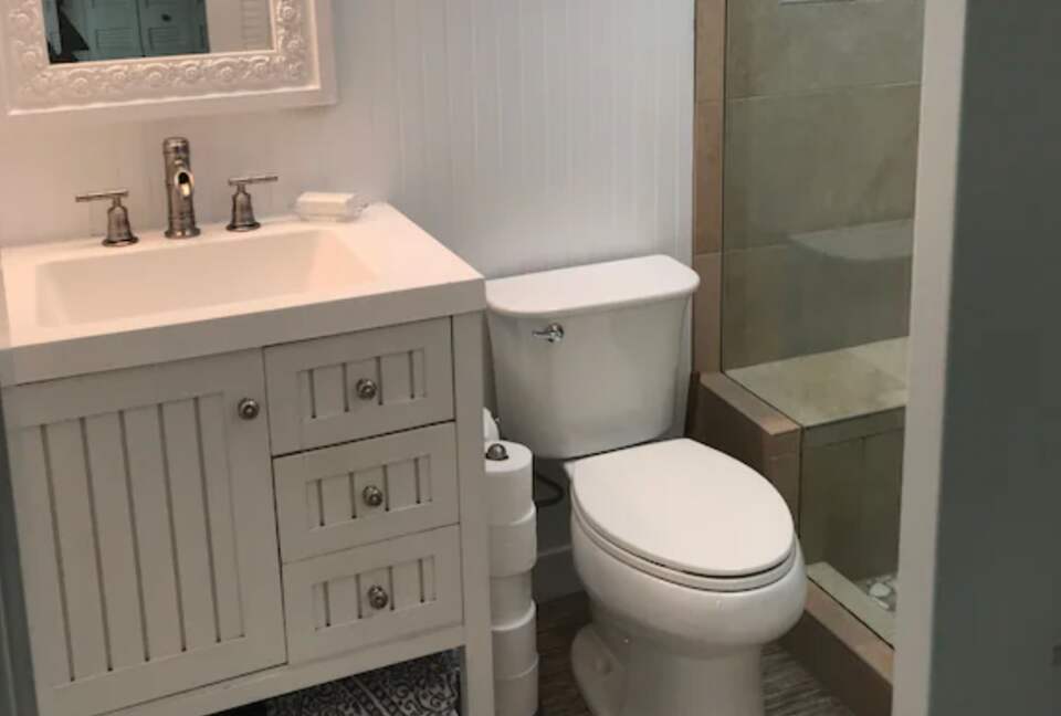 Guest bathroom