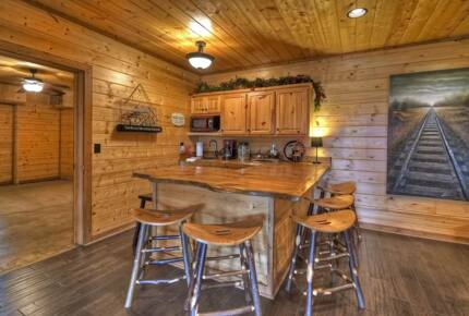 Home Exchange in Mineral Bluff, GA, bonus room bar