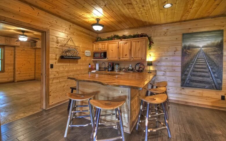 Home Exchange in Mineral Bluff, GA, bonus room bar