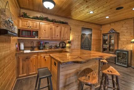 Home Exchange in Mineral Bluff, GA, bonus room bar