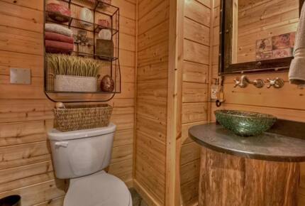 Home Exchange in Mineral Bluff, GA, powder bathroom