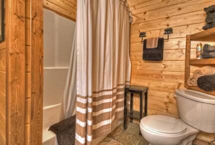 Home Exchange in Mineral Bluff, GA, bonus bathroom with shower bath