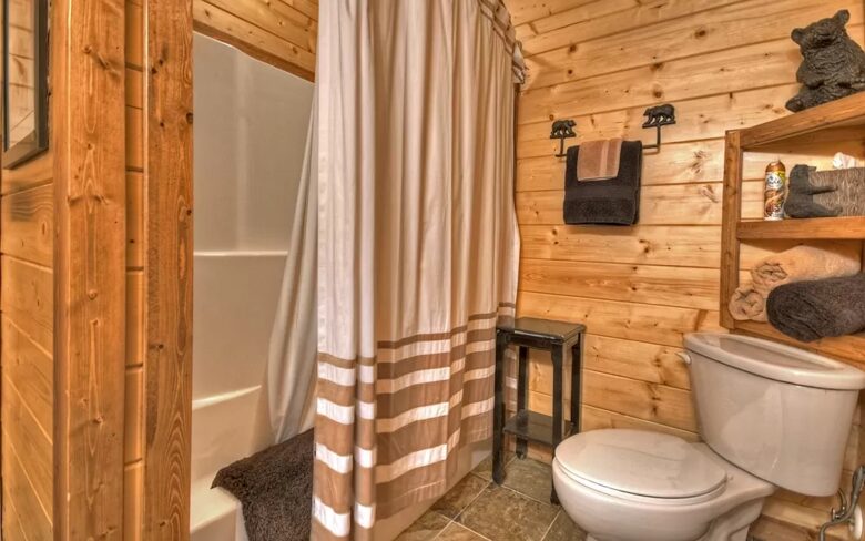 Home Exchange in Mineral Bluff, GA, bonus bathroom with shower bath