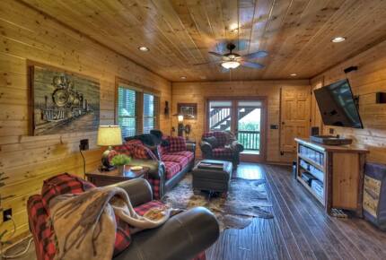 Home Exchange in Mineral Bluff, GA, bonus living space