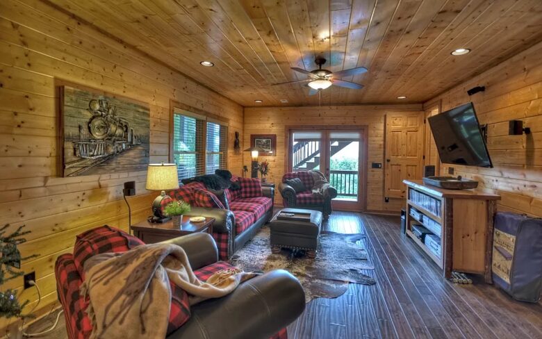 Home Exchange in Mineral Bluff, GA, bonus living space